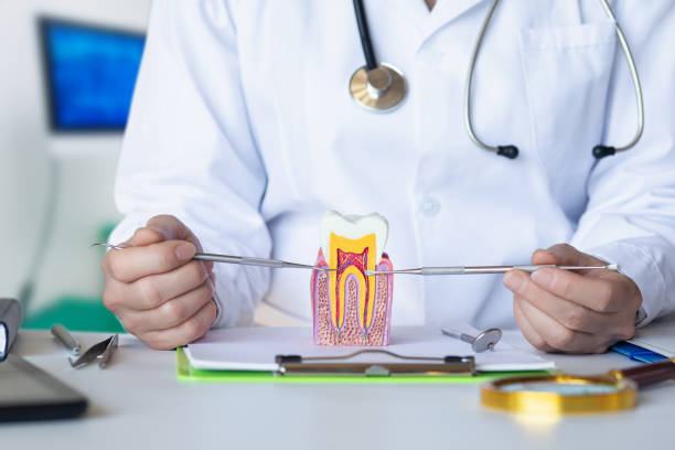 Best Emergency Broken Tooth Repair in Soda Springs, ID